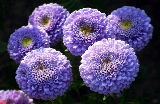 1147886 (a): :2560x1663